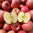 고씨네 농장 이미지