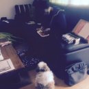 서공동물병원 이미지