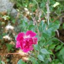 남진농장 이미지