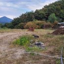 삼가제일부동산공인중개사사무소 이미지