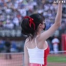 치어리 이미지