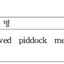 HS Meat 이미지