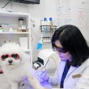 펫사랑동물병원 이미지