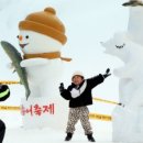 평창송어축제 이미지