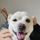 바르다펫 꿈의숲점 이미지