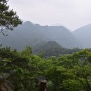 두정2리 버스장류장 옆 | 담양 삼인산, 병풍산.. 산에 자러 간겨?