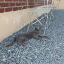 중촌경로당 이미지