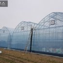 샤인하우스 가동 이미지