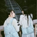 세이프라인