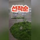 동일파크
