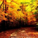 신앤박한의원 이미지