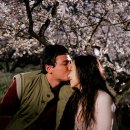 너는내운명 이미지