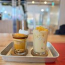 오츠 | [광화문 카페맛집] KT광화문 WEST 오츠커피 후기 ; 고양이 아인슈패너가 귀여운 광화문 카페