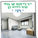 부동산정담공인중개사사무소 이미지
