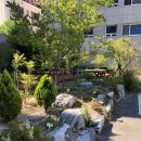 돌담요양병원 이미지