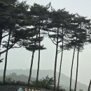 푸른솔GC 이미지
