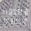 바늘요정