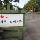 제주여기쯤