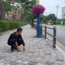 참조은 주식회사