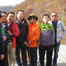 북배산흑염소농장 이미지