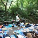 봄 숲으로 가자 이미지