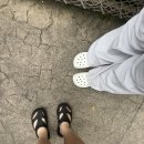 강릉에서 에버랜드 / 강릉 / 용인 / 에버라인 / 시외버스 / 우리아이키크는방법 / 카리나 / 엔시티위시...