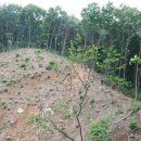 안락보건진료소 이미지