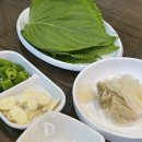 조원동 맛집 회타운 신선하고 맛있는 횟집