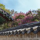 호텔더스팟 이미지