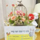 이화어린이집 | '이화말톡톡언어연구소'만의 특별함[+실제 후기]