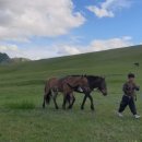 말타기 | ep.09 몽골여행 여름 승마체험 초원에서 말타기 후기