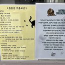그루밍루나 | 분당 고양이 무마취 미용 전문 봄봄냥 : 장모고양이 랙돌 루나 탄산수 목욕 후기