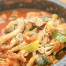 물만난 버섯 이미지