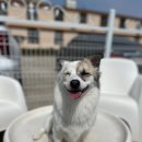 루이야 놀고 자고 GO 이미지