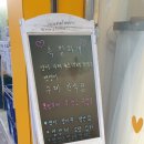 특별하개 이미지