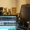 제이앤드제이(GDR) 골프아카데미 이미지