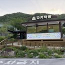 맛집) 다키닥팜 / 평창 휘닉스파크 근처 아이랑 가기 좋은 맛집:-)! 생오리 숯불구이 내돈내산 솔직후기!!