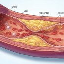 둔산배사랑내과(건강기능식품) | 오메가3와 크릴오일 비교 분석: 혈행 개선과 중성지방 수치를 낮추는 나에게 맞는 영양제