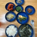 광명 산후도우미 에이플러스산모케어 한번 교체한 썰, 솔직후기 장단점