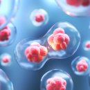 에이케이정형외과의원 이미지