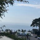 영광빌라 | 영광 펜션 추천 백수해안도로 로드96 풀빌라 기대와 달랐던 숙소 내돈내산 후기