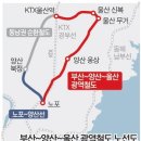 (주)케이알티씨 - 4535 | (주)케이알티씨