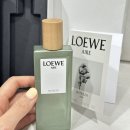 우디밸리 | 로에베 수틸레사 지속력 구매후기 봄 여름 향수추천(신제품 오드퍼퓸)