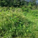 가곡3리 이미지