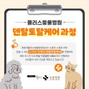 플러스덴탈서비스