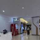 미사리밀빛초계국수칼국수 - 군포시 호수로 124-5 | [코엑스]미사리 밀빛 초계국수 칼국수 내돈내산 후기
