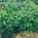 명품유황오리 이미지