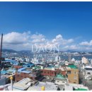 번영부동산공인중개사사무소 이미지