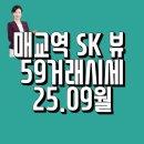 매교역SK공인중개사사무소 | 매교역sk뷰 59 거래시세feat 매교역 팰루시드59와 비교(25.9월)