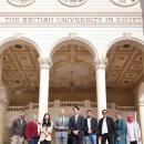 퀀텀의료기 | 그래피 일일그래피( 심포지엄, BUE)